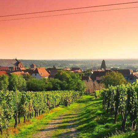 ベッド・アンド・ブレックファスト Chai D'oeuvre